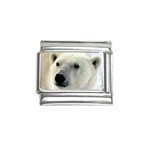 Polar Bear - P0093