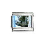Bearded Seal Animal - P0105