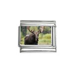 Bull Moose P0165
