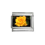 Yellow Rose Flower - P0202