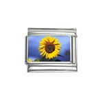 Sunflower - P0211