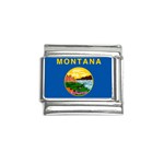 Montana State Flag P0376