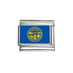 Nebraska State Flag P0377