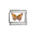 Butterfly 1305