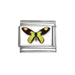 Butterfly 1321