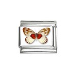 Butterfly 1342