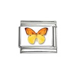 Butterfly 1358