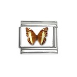 Butterfly 1365