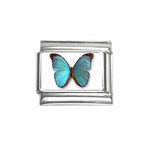 Butterfly 1372