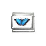 Butterfly 1373